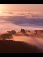 增城最值得看的景点_从化最值得看的景点在线