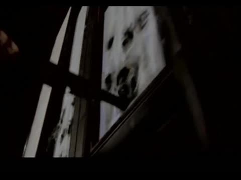 《 抗日女汉子 》图片_《 抗日女汉子 》(2)_社会