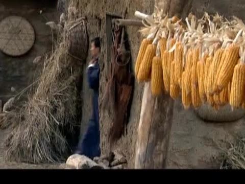 国家宝藏之觐天宝匣第二部_热点_图片久久