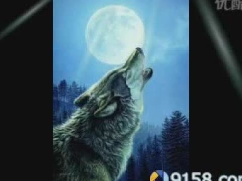 <em>闯码头dj版</em>_闯码头歌曲_闯码头原唱_男女对唱
